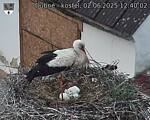 Capi_Dubne_20250602_124002.jpg