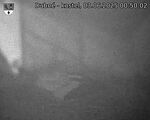 Capi_Dubne_20250603_005002.jpg