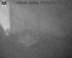 Capi_Dubne_20250603_014002.jpg