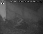 Capi_Dubne_20250603_023502.jpg