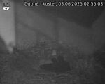 Capi_Dubne_20250603_025503.jpg