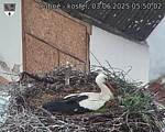 Capi_Dubne_20250603_055002.jpg
