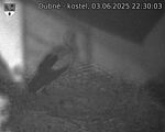 Capi_Dubne_20250603_223003.jpg