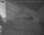 Capi_Dubne_20250603_233002.jpg