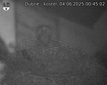 Capi_Dubne_20250604_004502.jpg