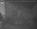 Capi_Dubne_20250604_025502.jpg