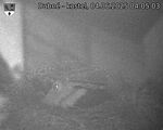 Capi_Dubne_20250604_040503.jpg