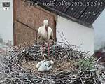 Capi_Dubne_20250604_182502.jpg