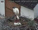 Capi_Dubne_20250604_192502.jpg