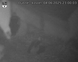 Capi_Dubne_20250604_230003.jpg (1350 x 1080)