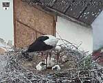 Capi_Dubne_20250605_125503.jpg