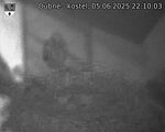 Capi_Dubne_20250605_221003.jpg
