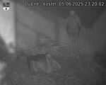 Capi_Dubne_20250605_232002.jpg