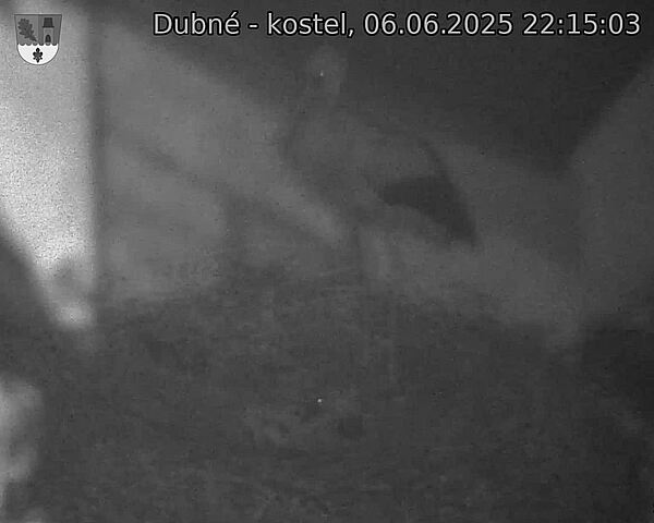 Capi_Dubne_20250606_221503.jpg (1350 x 1080)