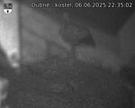 Capi_Dubne_20250606_223502.jpg
