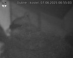 Capi_Dubne_20250607_005503.jpg