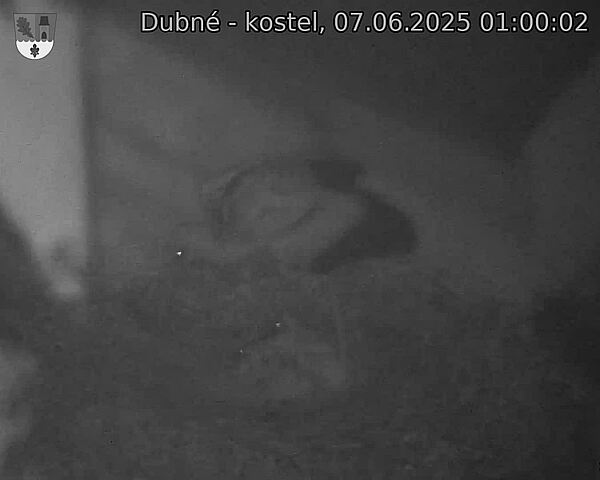 Capi_Dubne_20250607_010002.jpg (1350 x 1080)