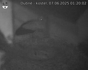 Capi_Dubne_20250607_012002.jpg (1350 x 1080)
