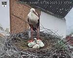 Capi_Dubne_20250607_133004.jpg