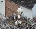 Capi_Dubne_20250607_171503.jpg