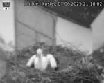 Capi_Dubne_20250607_211003.jpg