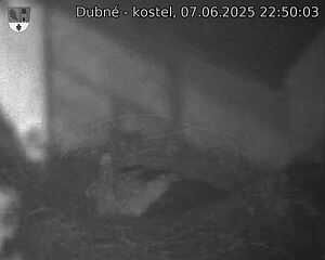 Capi_Dubne_20250607_225003.jpg (1350 x 1080)