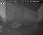 Capi_Dubne_20250608_004002.jpg