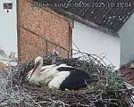 Capi_Dubne_20250608_103504.jpg