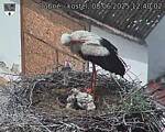 Capi_Dubne_20250608_124002.jpg
