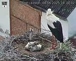 Capi_Dubne_20250608_183002.jpg