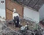 Capi_Dubne_20250609_145002.jpg
