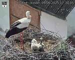 Capi_Dubne_20250609_173005.jpg