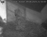 Capi_Dubne_20250609_215503.jpg