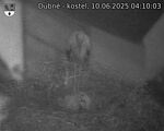 Capi_Dubne_20250610_041003.jpg