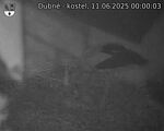 Capi_Dubne_20250611_000003.jpg