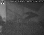 Capi_Dubne_20250611_000503.jpg