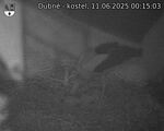 Capi_Dubne_20250611_001503.jpg