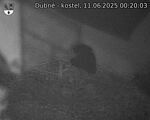 Capi_Dubne_20250611_002003.jpg