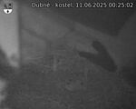 Capi_Dubne_20250611_002502.jpg