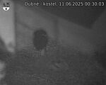 Capi_Dubne_20250611_003003.jpg