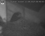 Capi_Dubne_20250611_004003.jpg