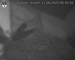 Capi_Dubne_20250611_004502.jpg