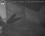 Capi_Dubne_20250611_005503.jpg