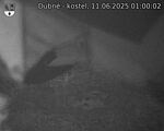 Capi_Dubne_20250611_010002.jpg