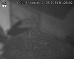 Capi_Dubne_20250611_012502.jpg