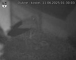 Capi_Dubne_20250611_013003.jpg