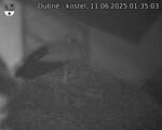 Capi_Dubne_20250611_013503.jpg