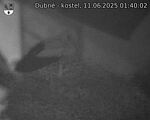 Capi_Dubne_20250611_014002.jpg