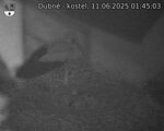 Capi_Dubne_20250611_014503.jpg