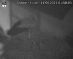 Capi_Dubne_20250611_015003.jpg